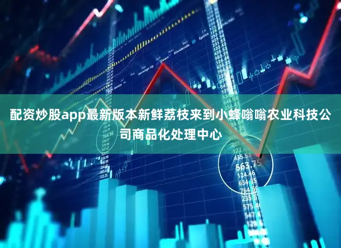 配资炒股app最新版本新鲜荔枝来到小蜂嗡嗡农业科技公司商品化处理中心