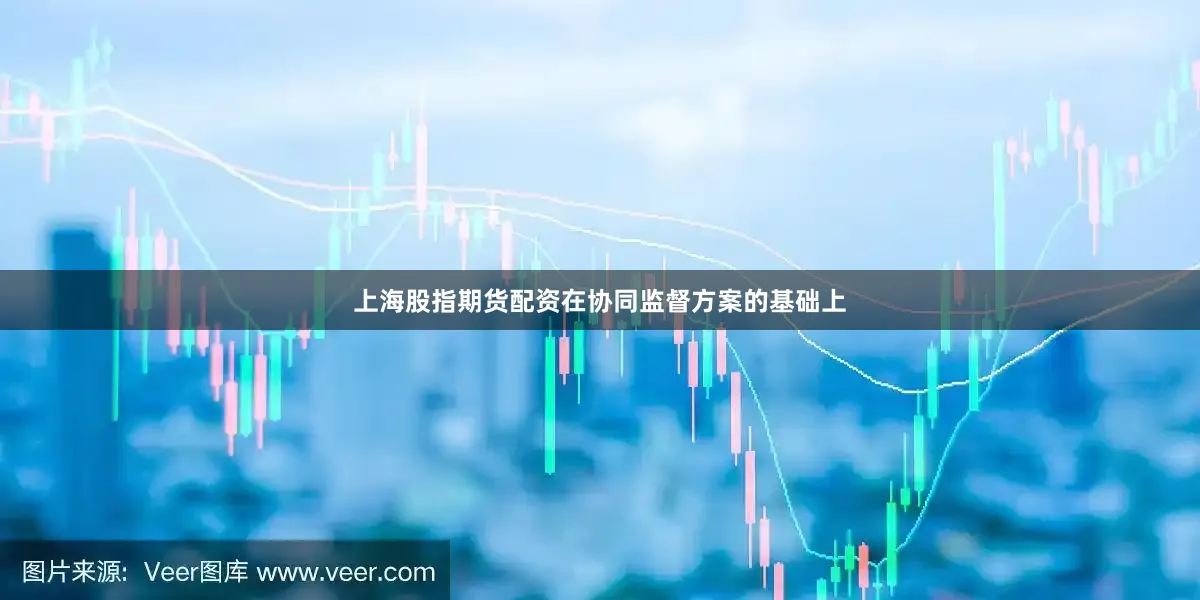 上海股指期货配资在协同监督方案的基础上