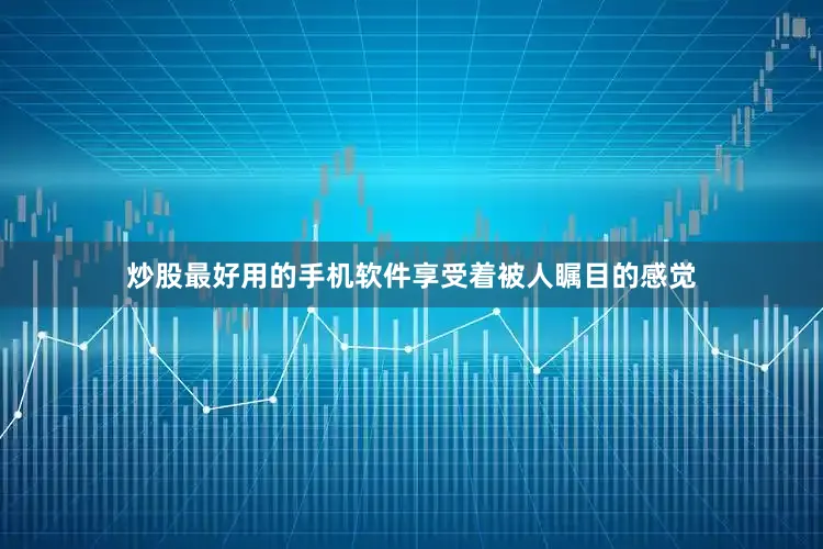 炒股最好用的手机软件享受着被人瞩目的感觉