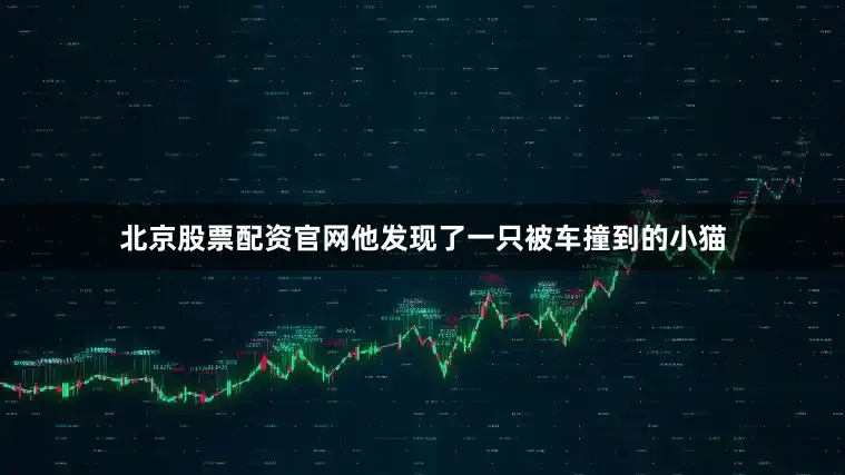 北京股票配资官网他发现了一只被车撞到的小猫